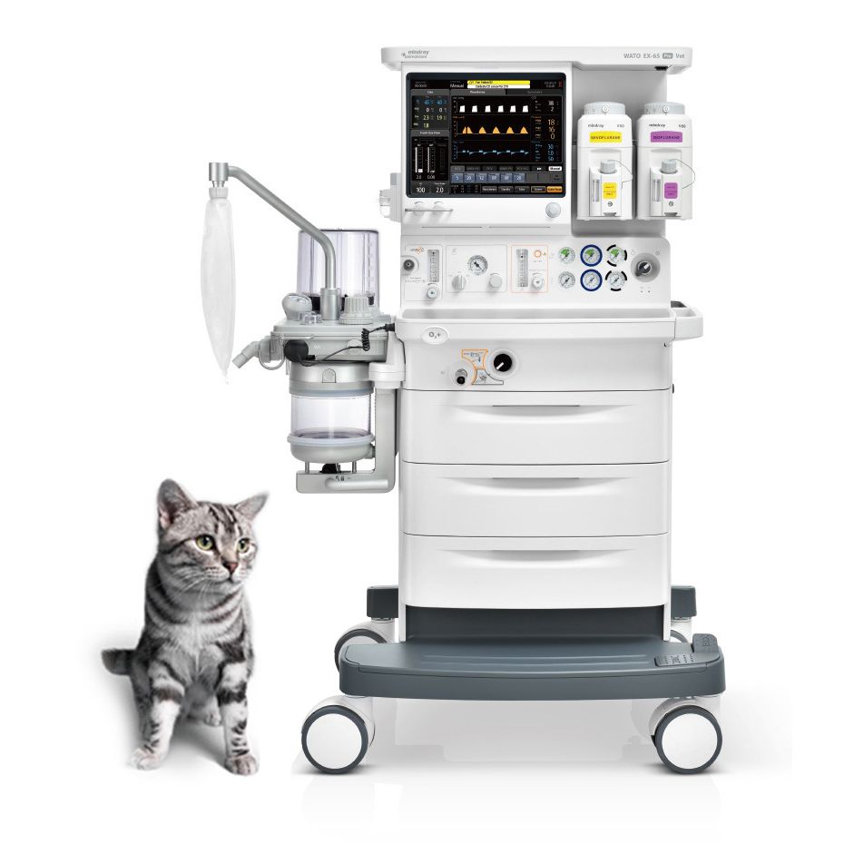 Veterinary Equipment Now Available