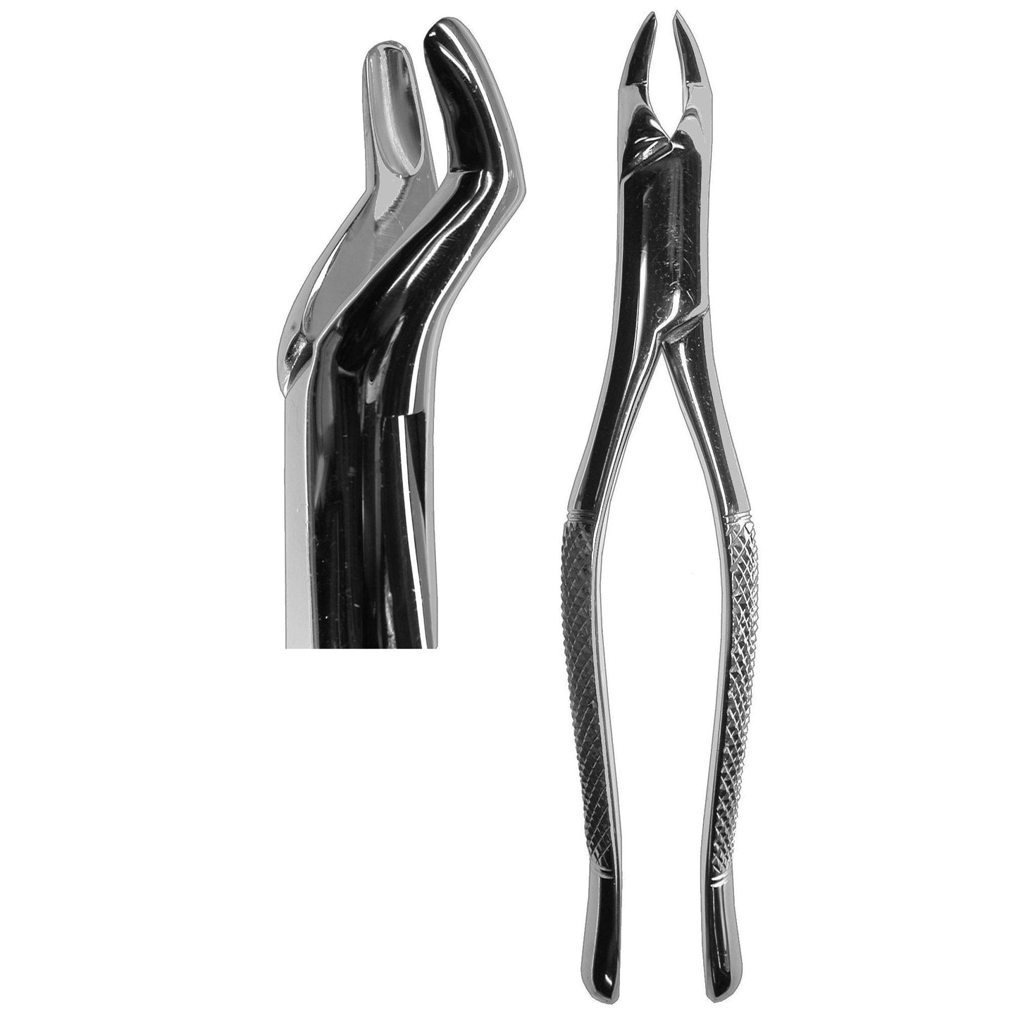 #10S Forceps (Z-1157)