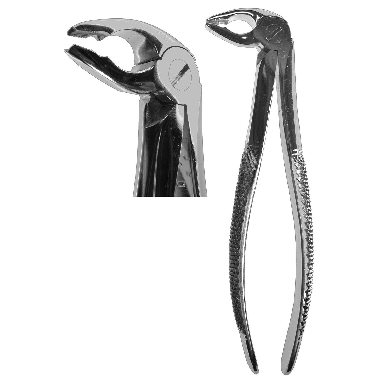 #33AS English Forceps (Z-1366)