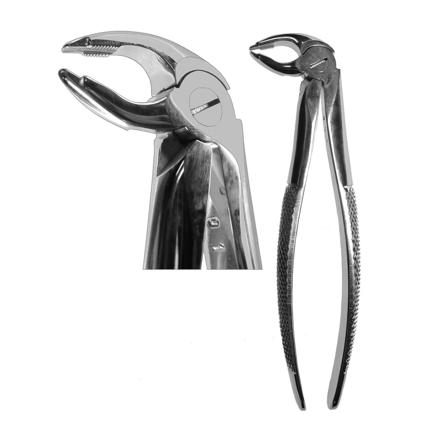 #36 English Forceps (Z-1039)