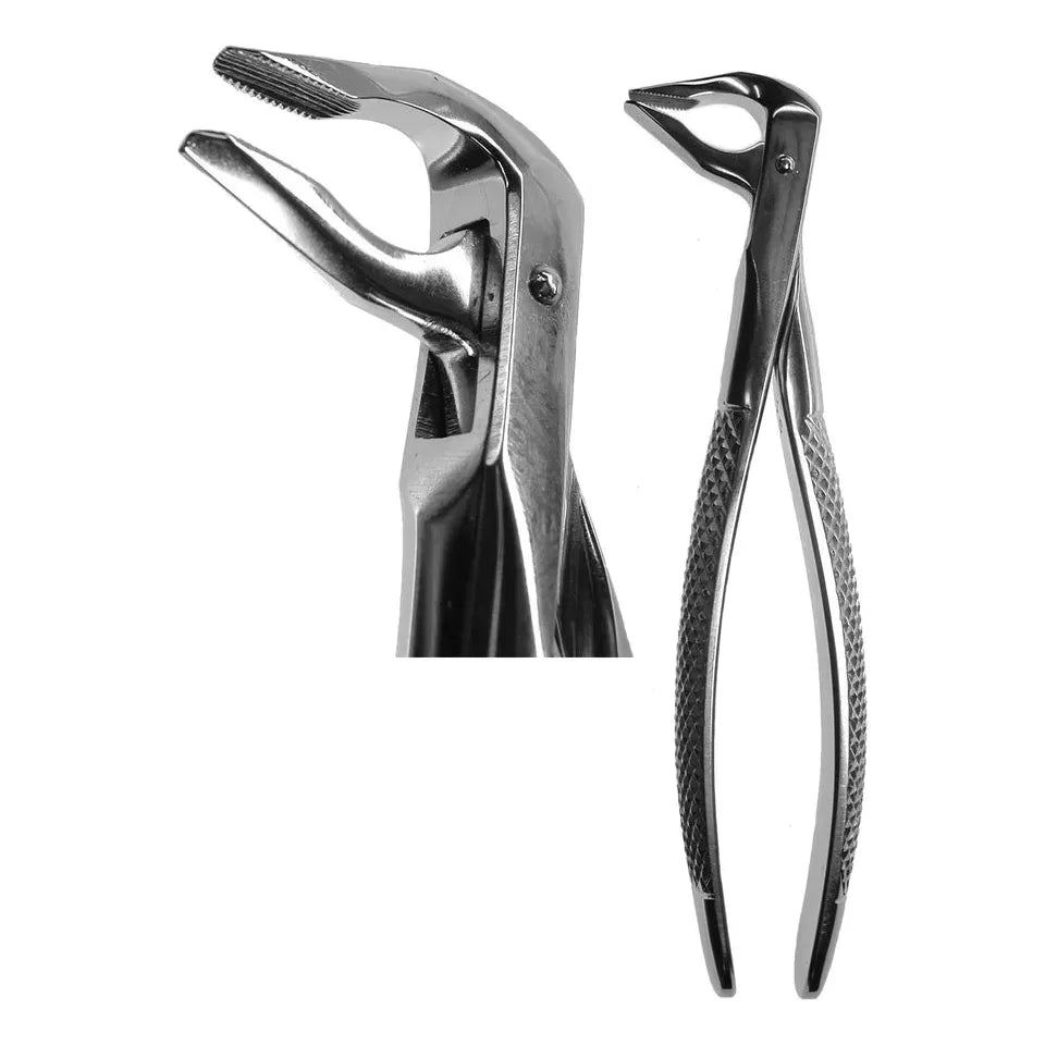 #36N English Forceps (Z-1041)