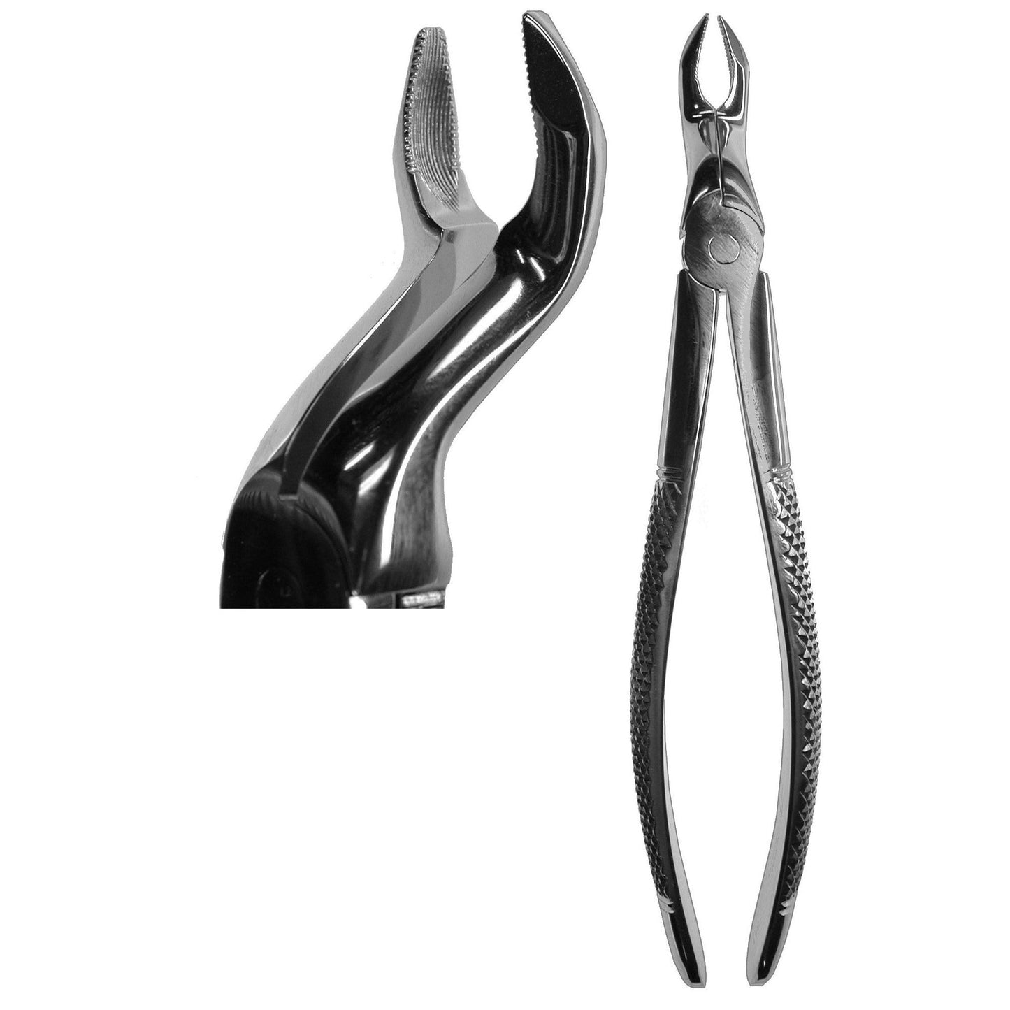 #67N English Forceps (Z-1341)