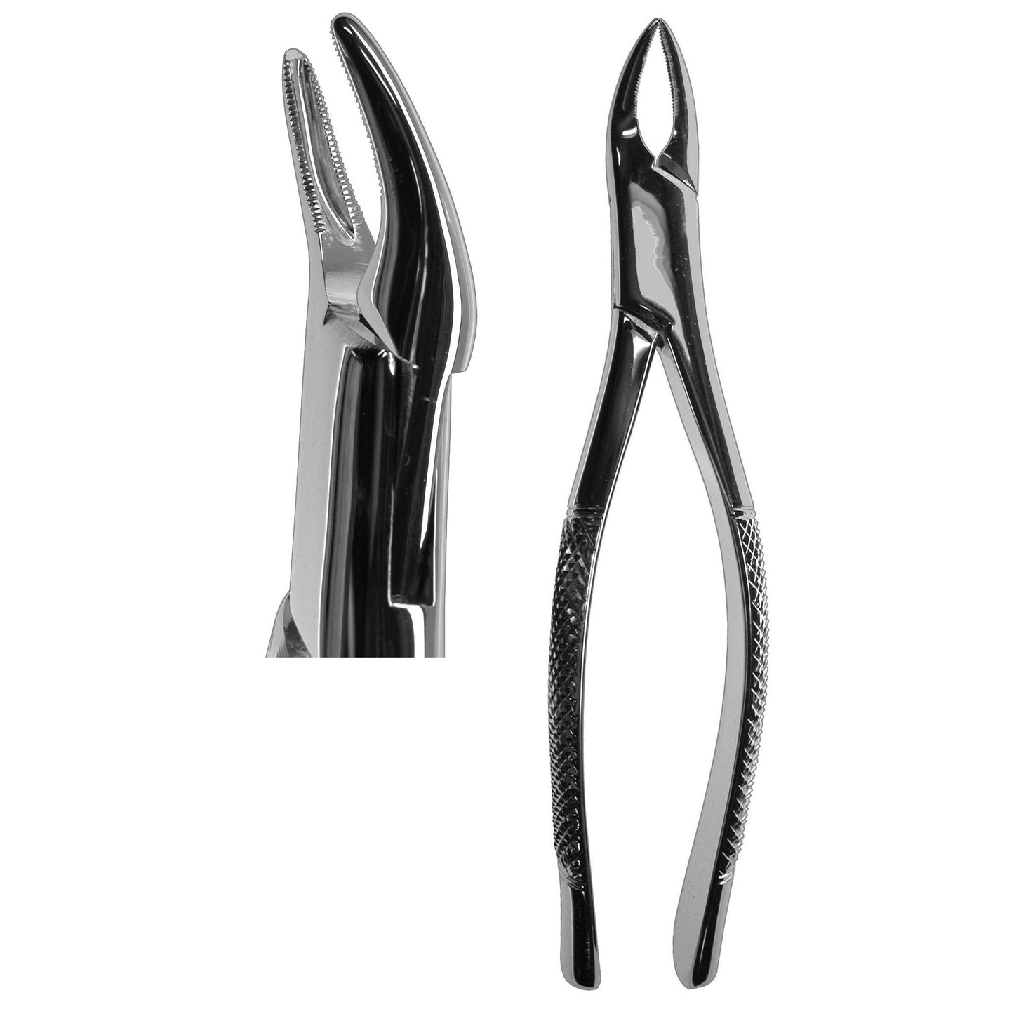 #69 Tomes Forceps (Z-1215)