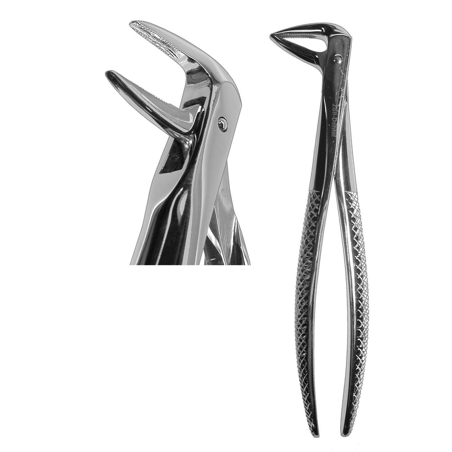#74N Root Forceps (Z-1075)