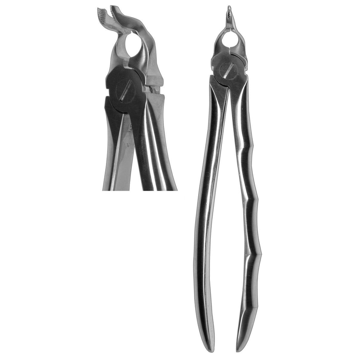 Comella Forceps (Z-1377)