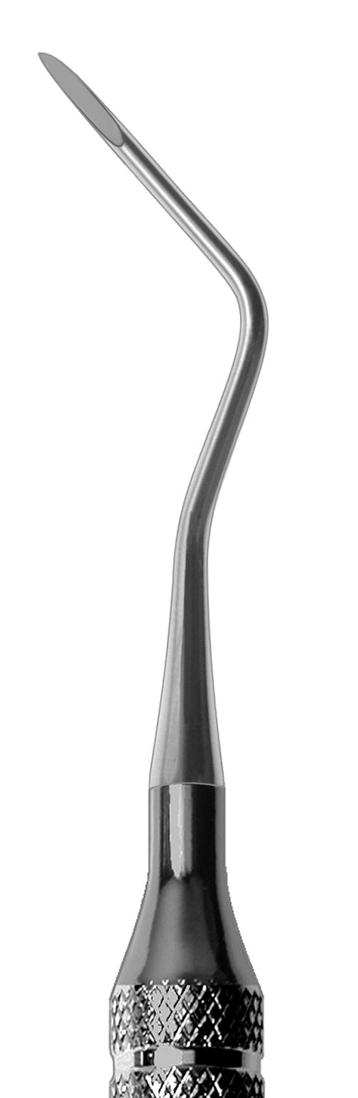 #9R Apical