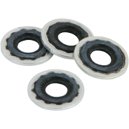 Replacement Cylinder Seals, 5404-0001