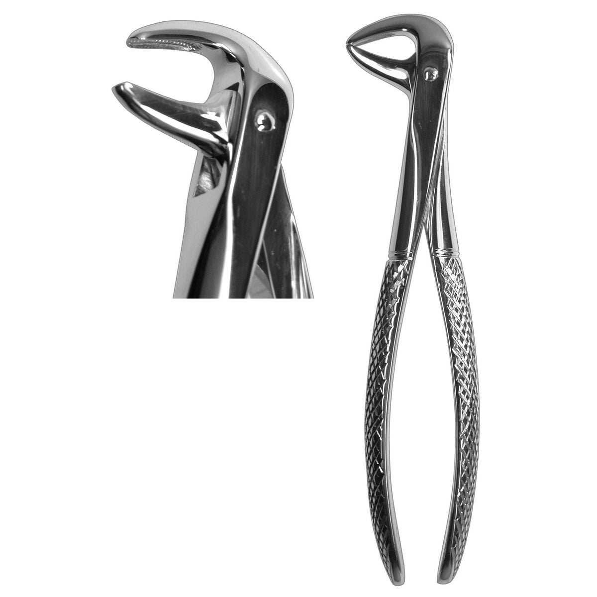 #123 Forceps  (Z-1266)