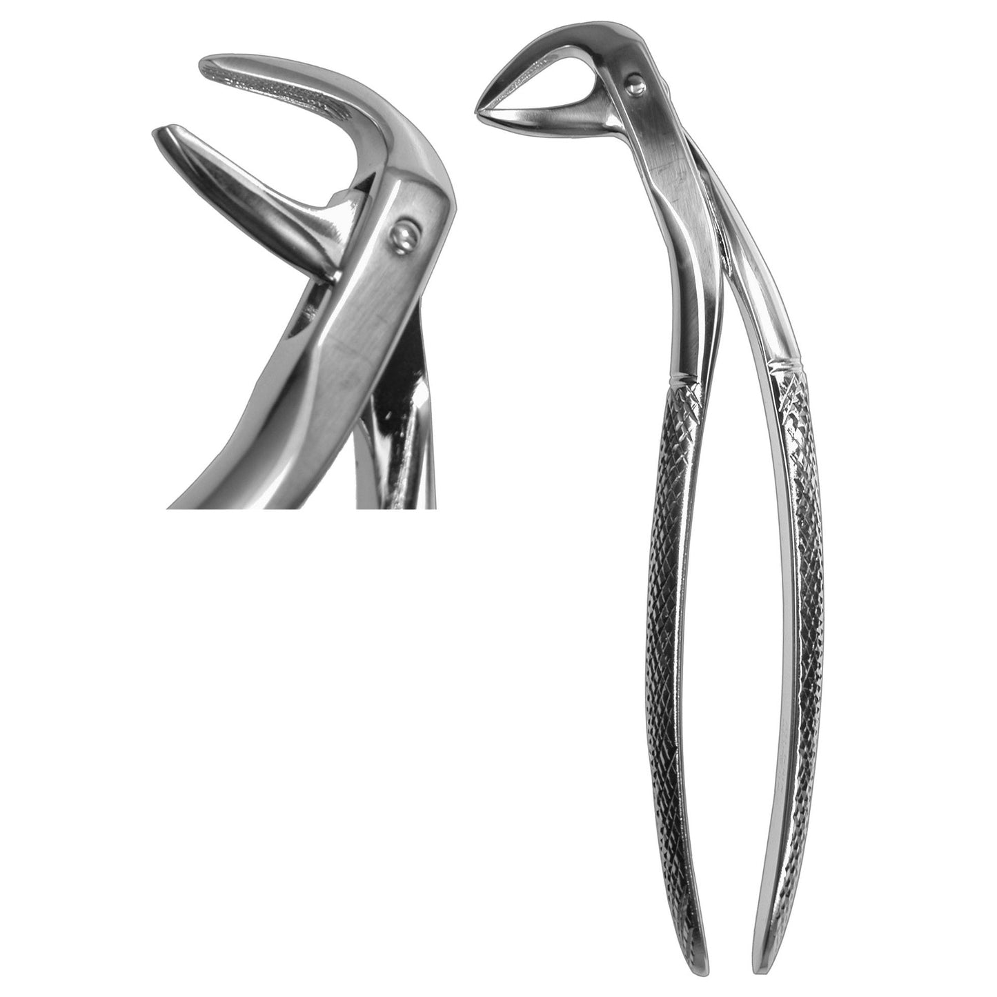 #144 Root Forceps  (Z-1086)