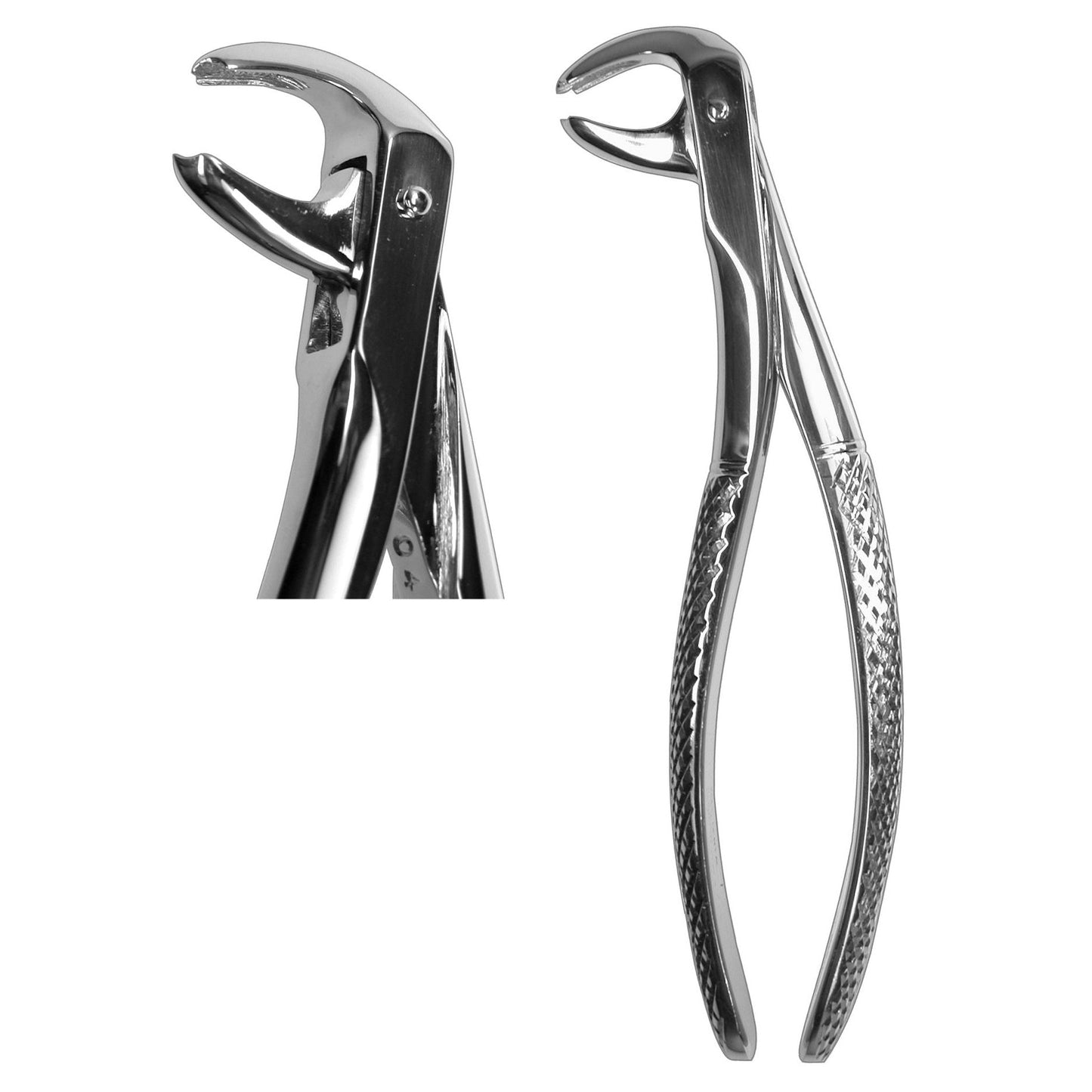 #148 English Forceps  (Z-1028)