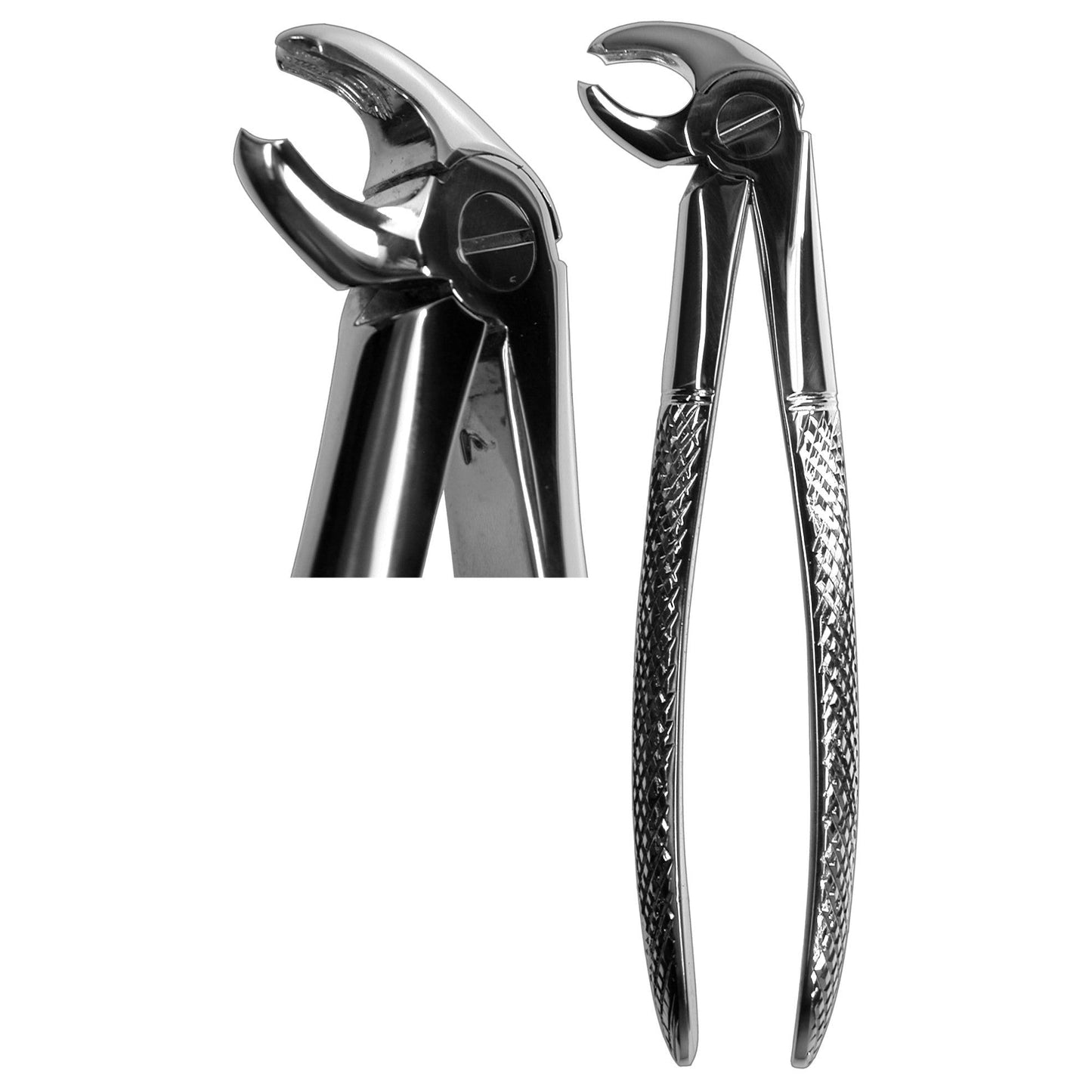 #22S Forceps  (Z-1019)