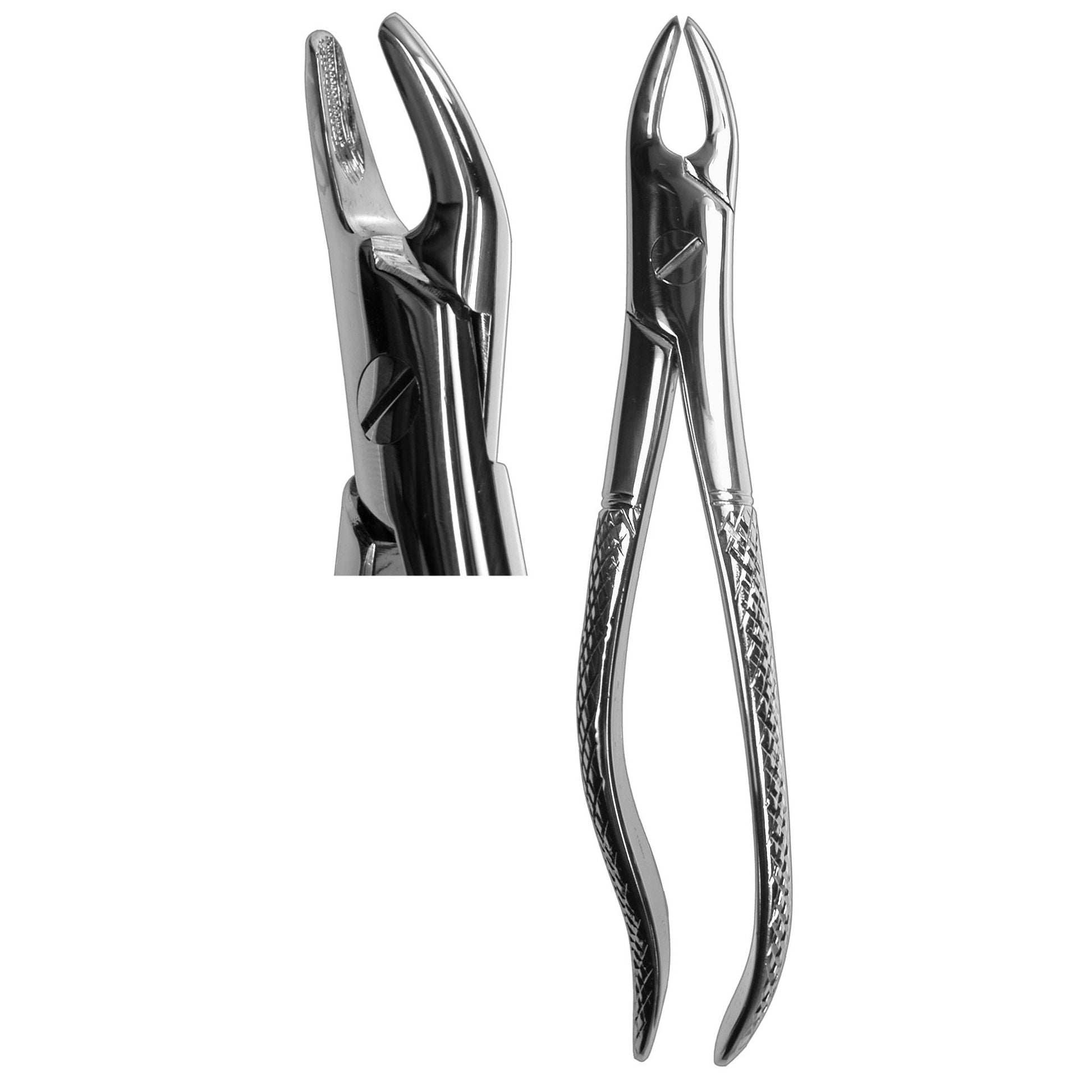 #76S Root Forceps  (Z-1080)