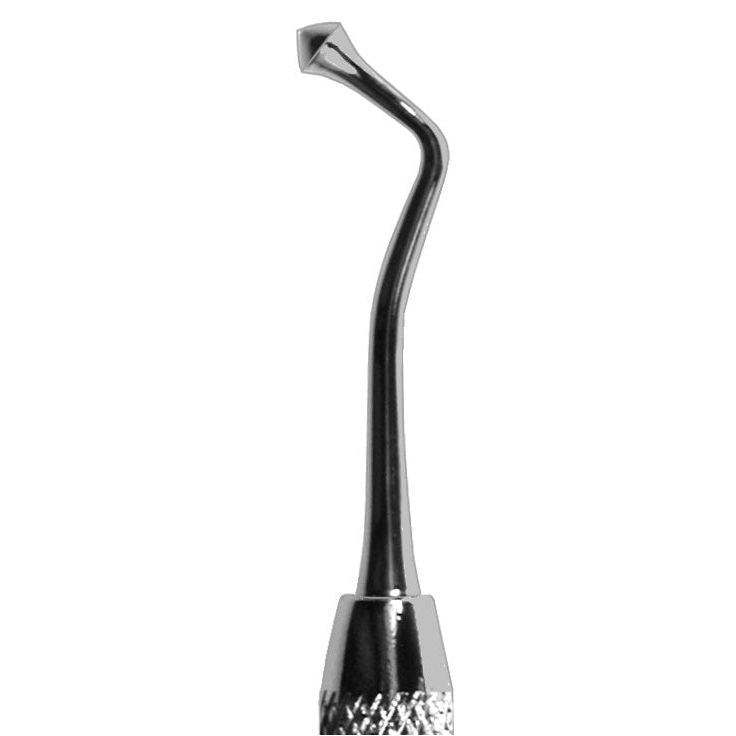 #21B Acorn Burnisher