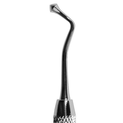 #21B Acorn Burnisher