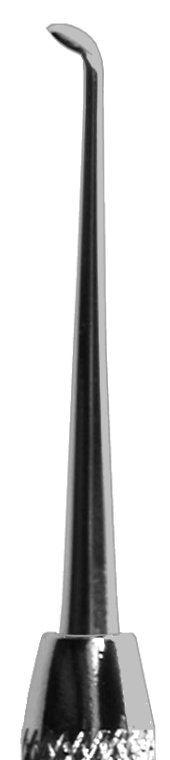Leggio-1