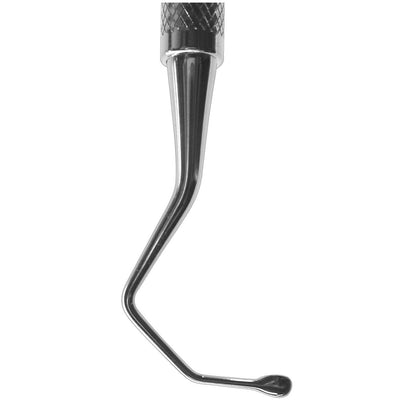 Antral #1  (Sharp)