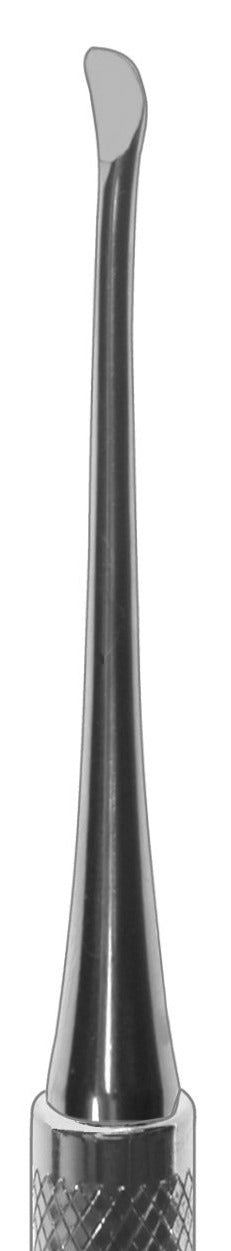 Surgical Curette, Molt #2