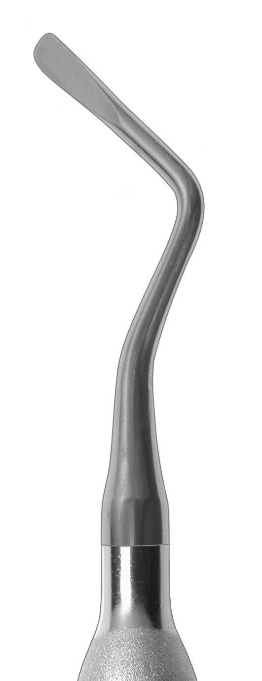 #303P