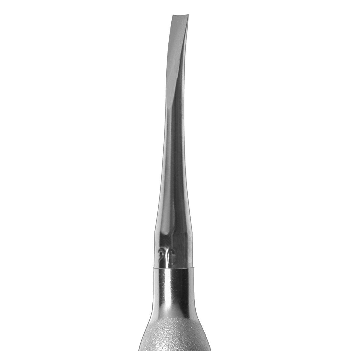 Coupland Gouge #2C