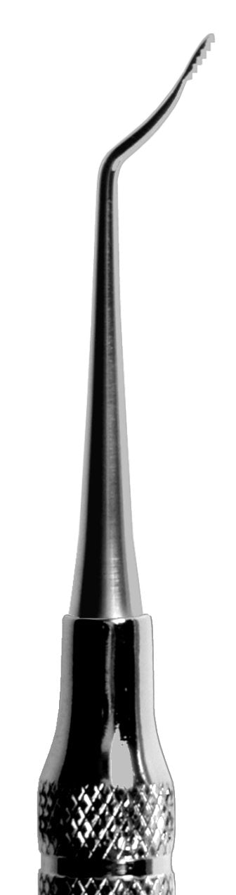Hirschfeld #9/10