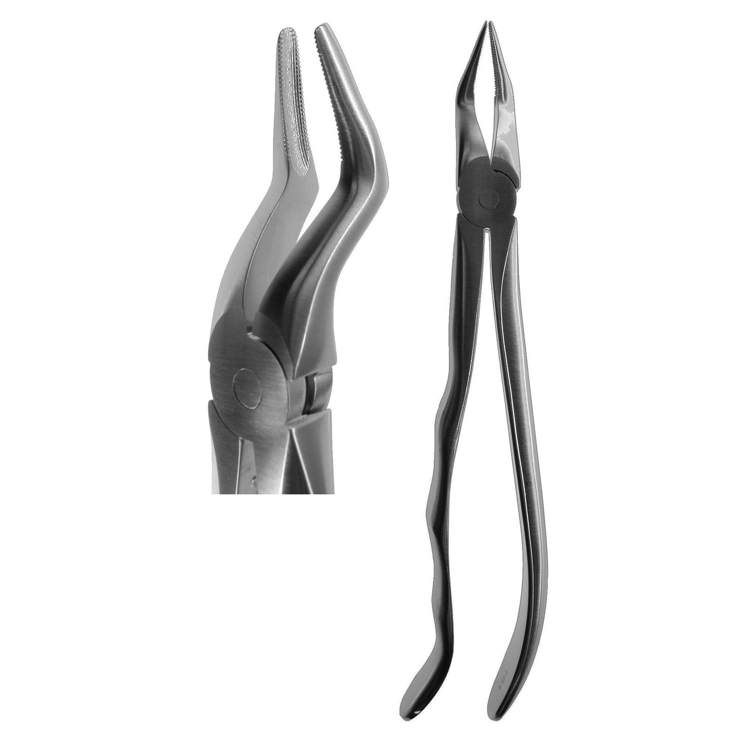 #151 Root Forceps (Profile Handle)  [Z-2138]