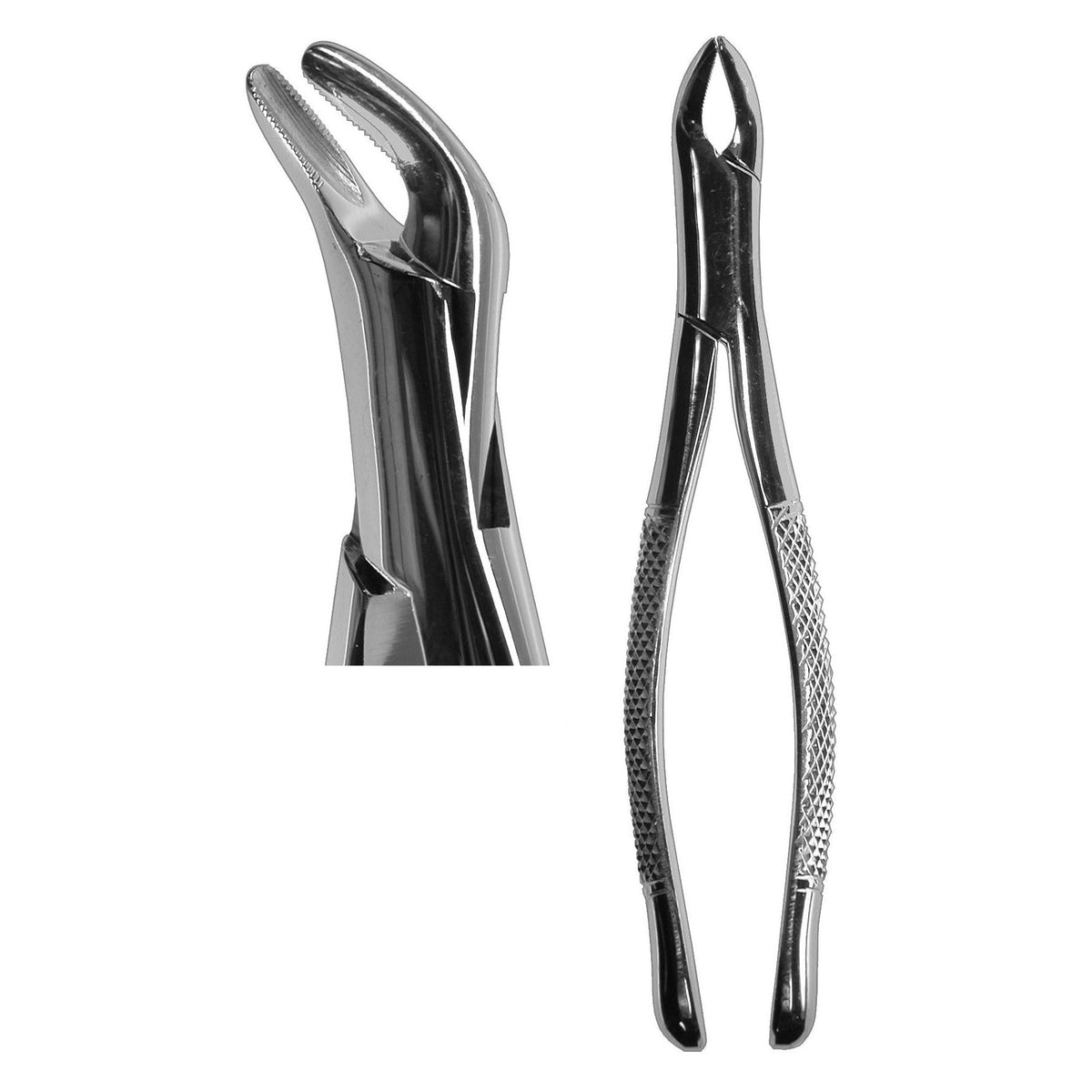#151S Cryer Forceps (Serrated)  [Z-1202-S]