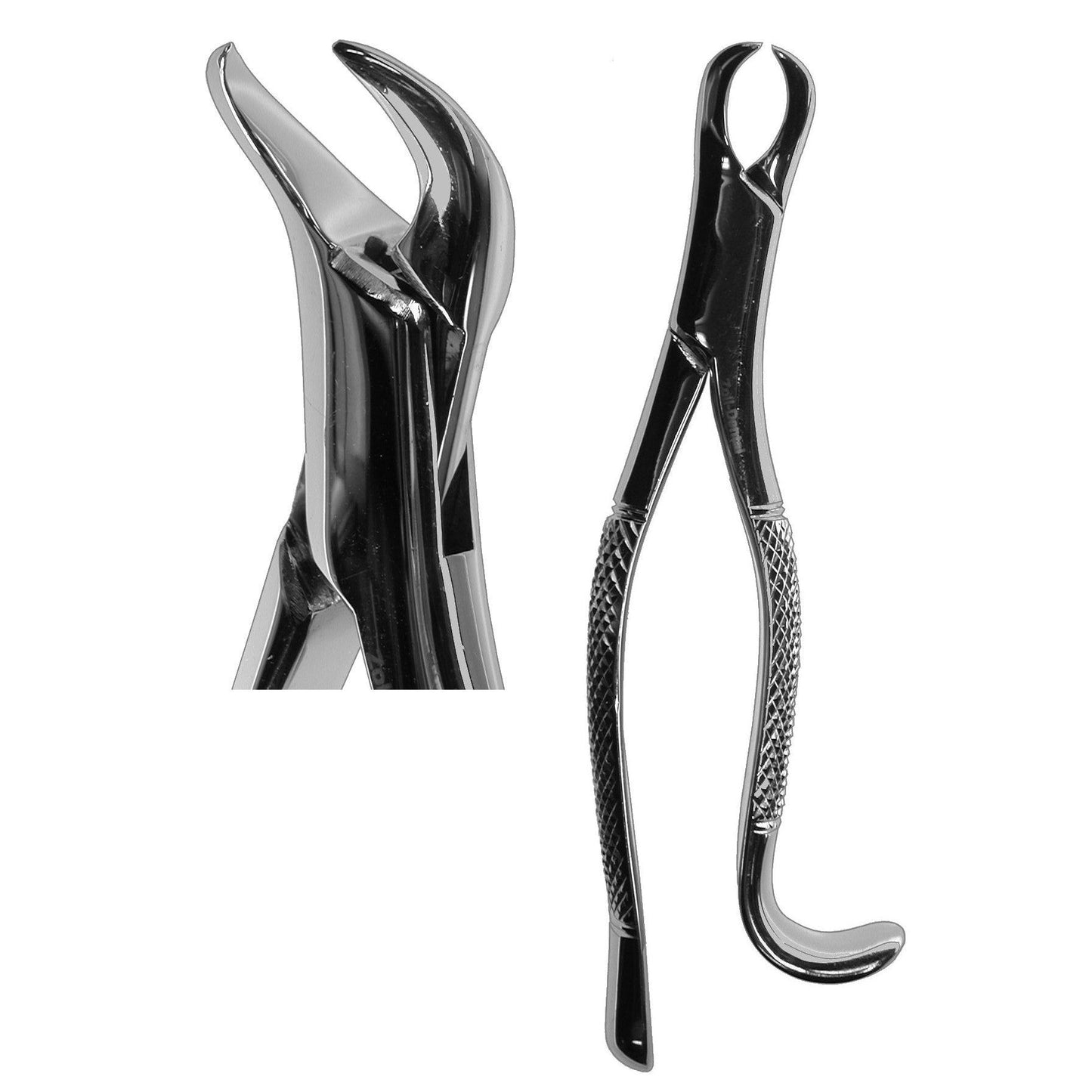 #16S Cowhorn Forceps  (Z-1160)