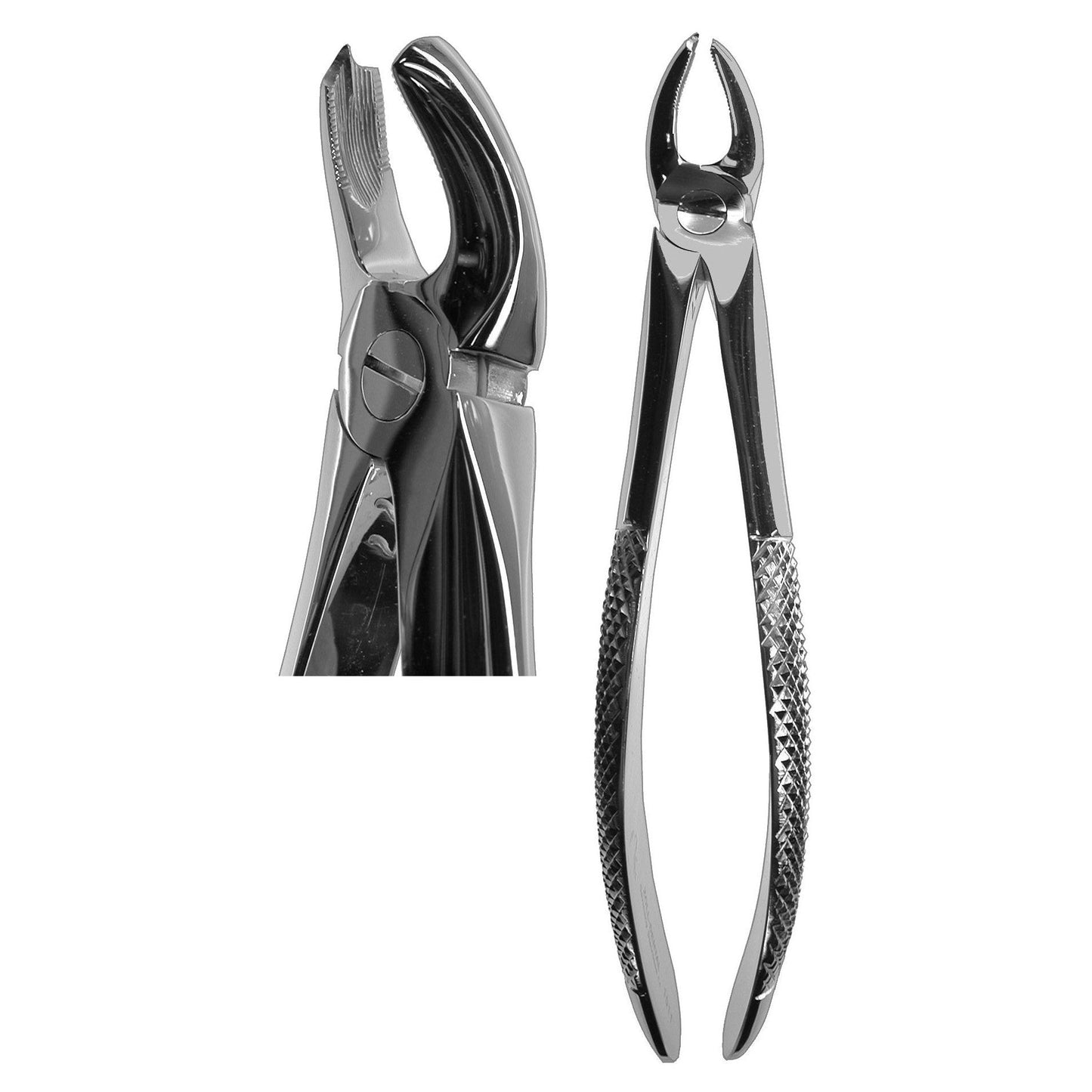 #17 English Forceps  (Z-1011)