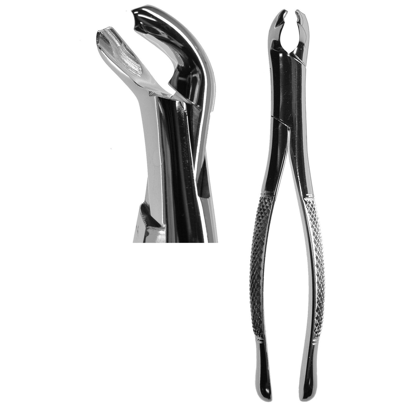 #17 American Forceps  (Z-1161)