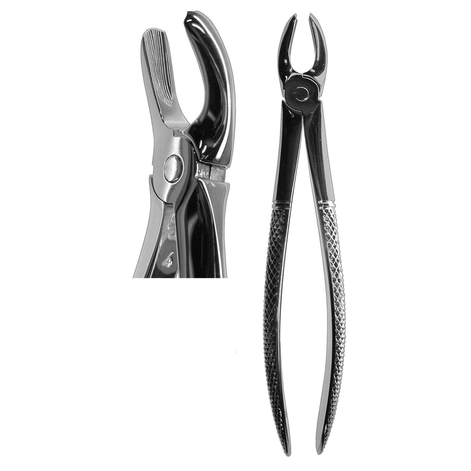 #18 English Forceps  (Z-1012)