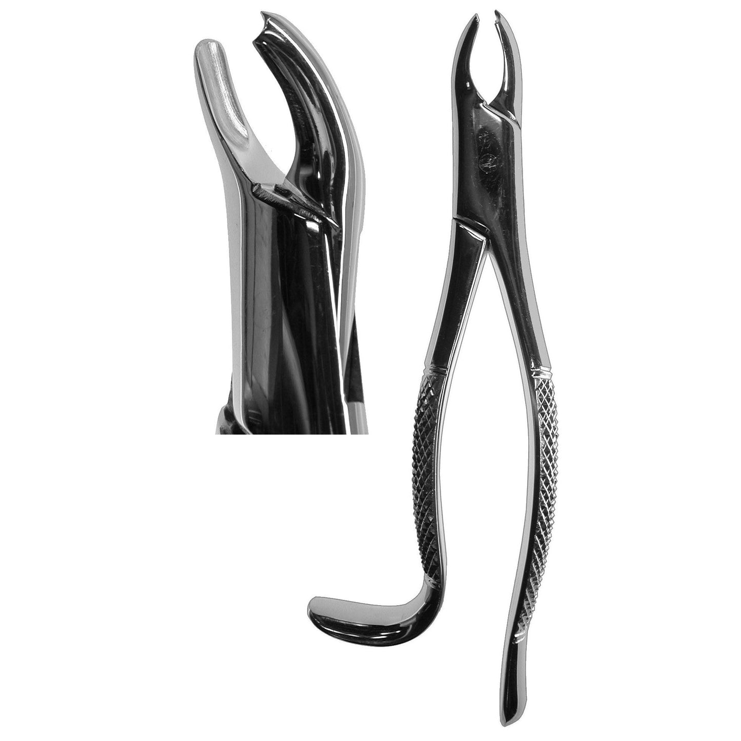 #18L Harris Forceps  (Z-1162)