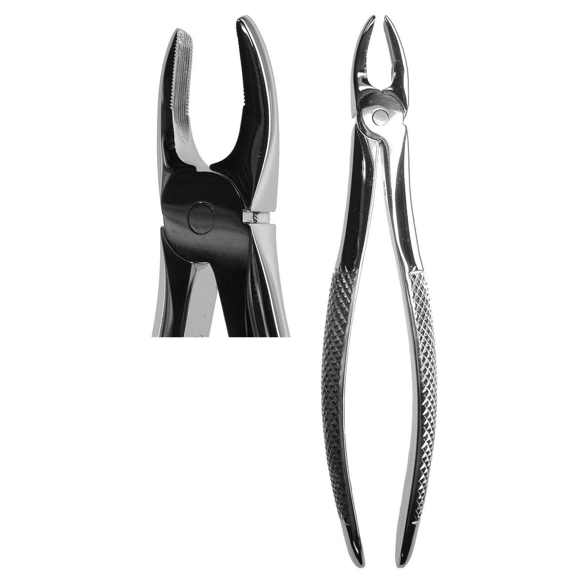 #1 English Forceps  (Z-1001)