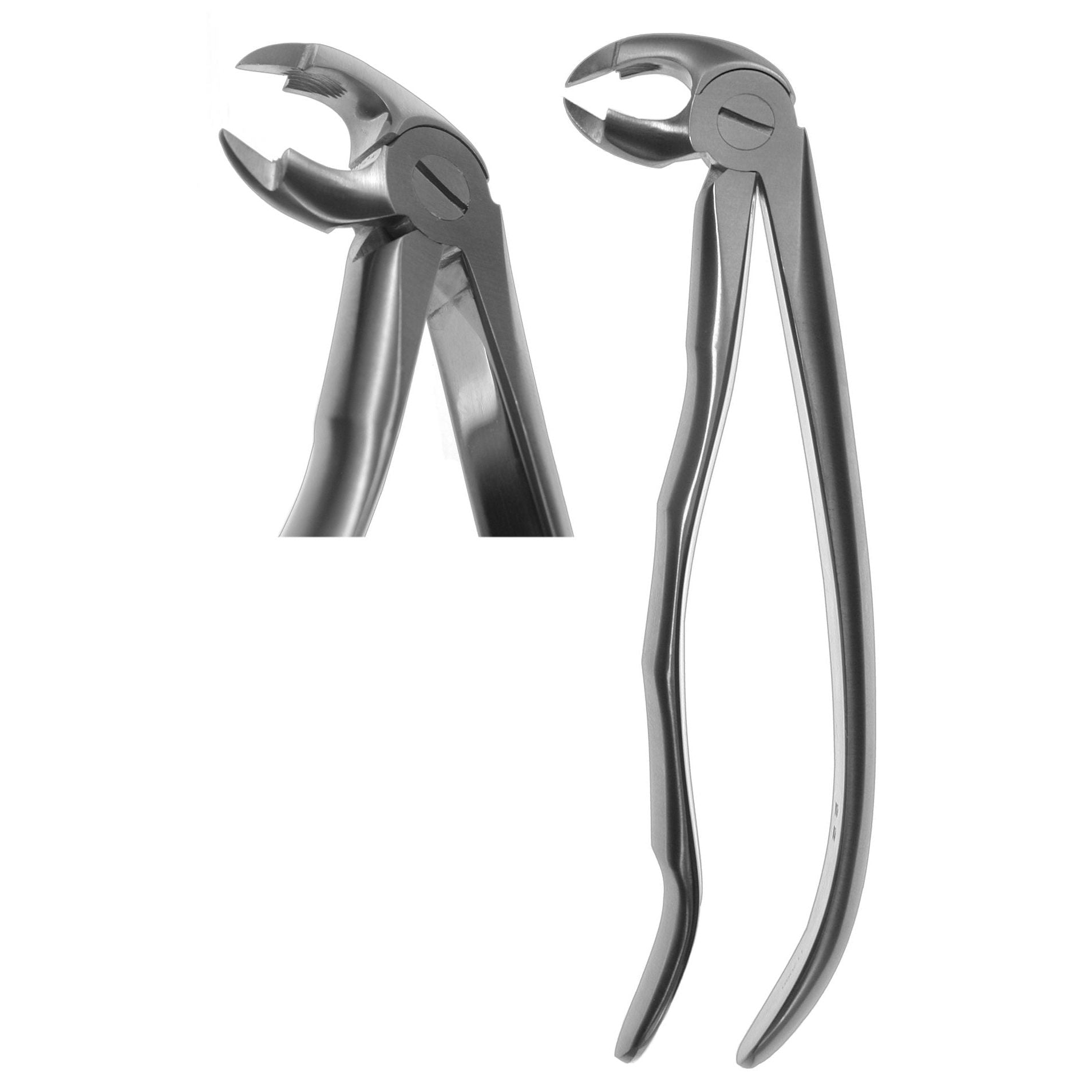 #22P English Forceps (Profile Handle)  [Z-2211]