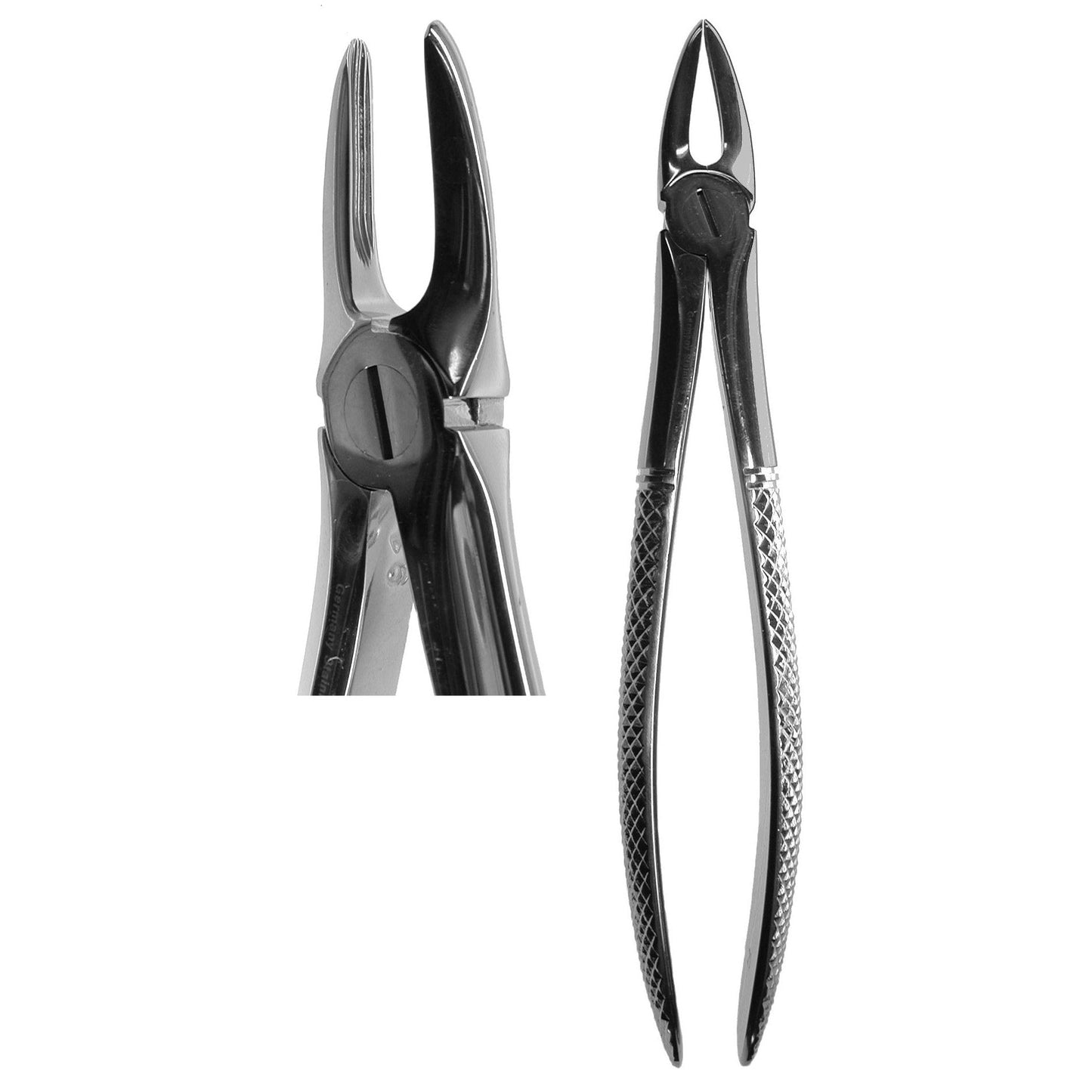 #29 English Forceps  (Z-1022)