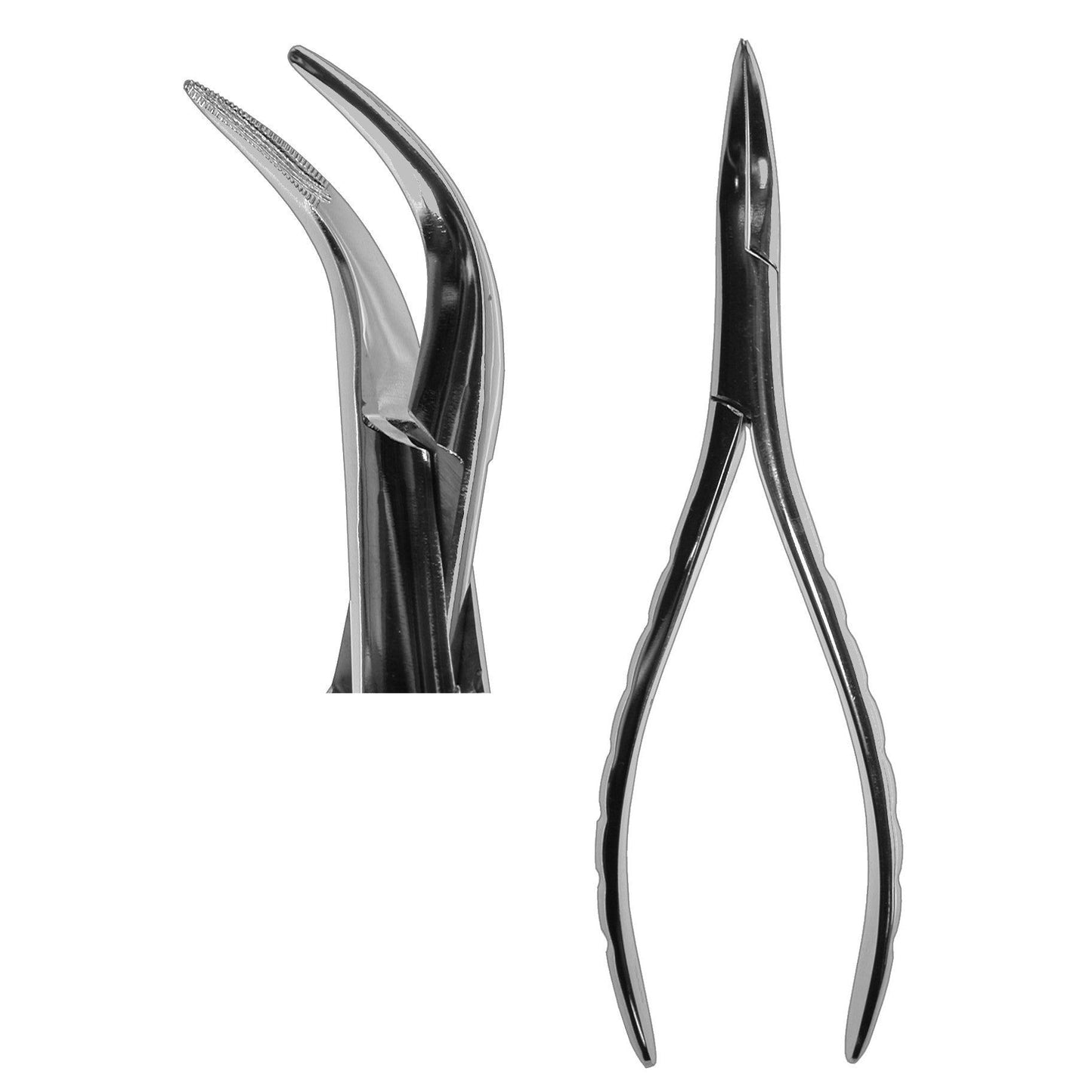 #300 Root Forceps  (Z-2162)