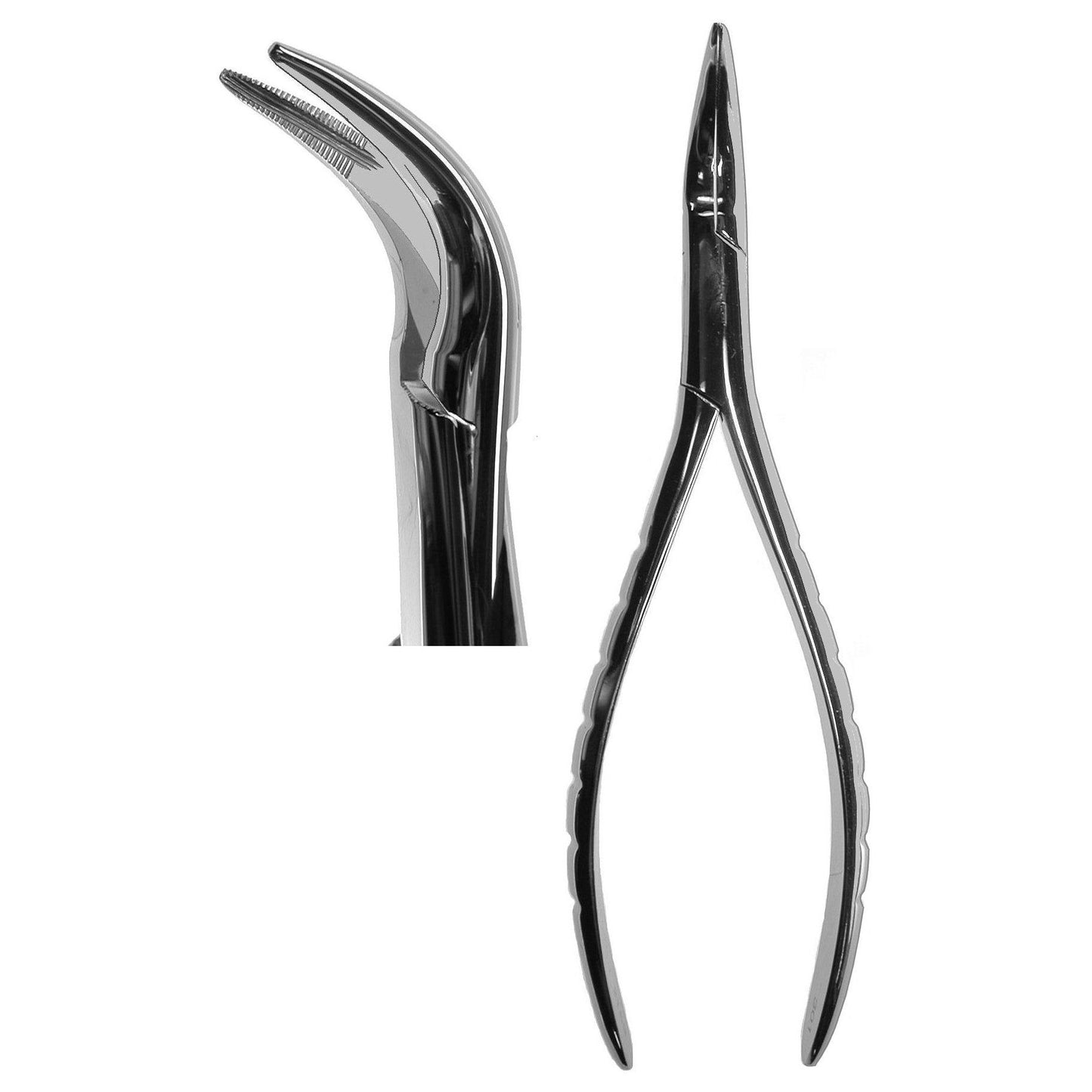 #301 Root Forceps  (Z-2163)