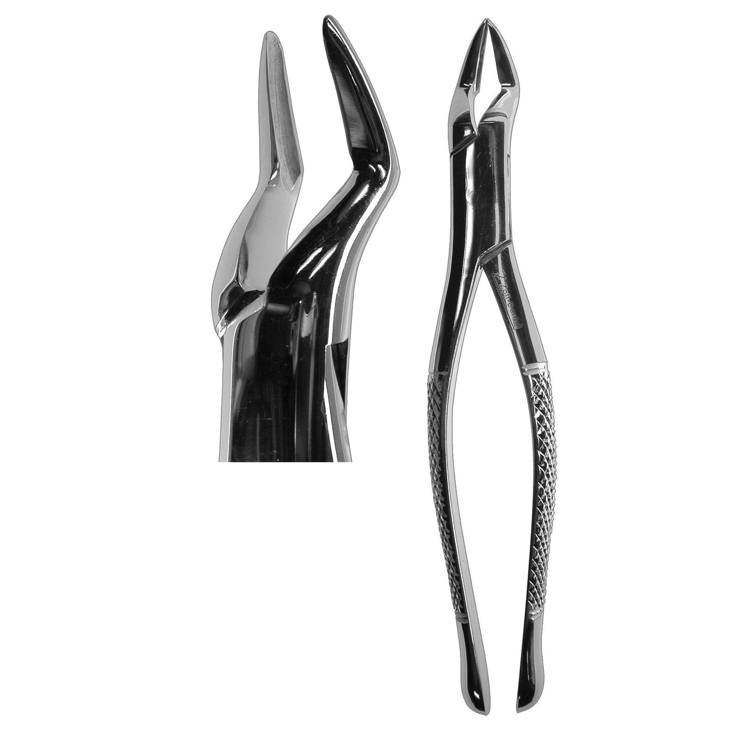 #32A Parmly Forceps  (Z-1171)