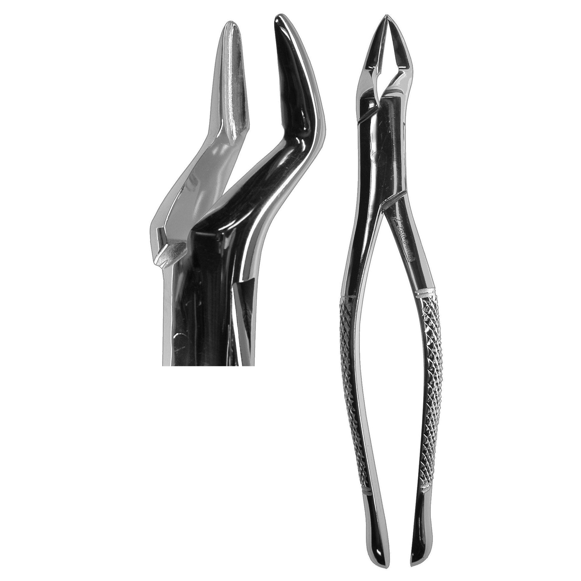 #32 Parmly Forceps  (Z-1170)