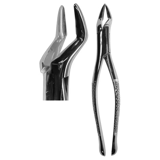 #32 Parmly Forceps (Z-1170)