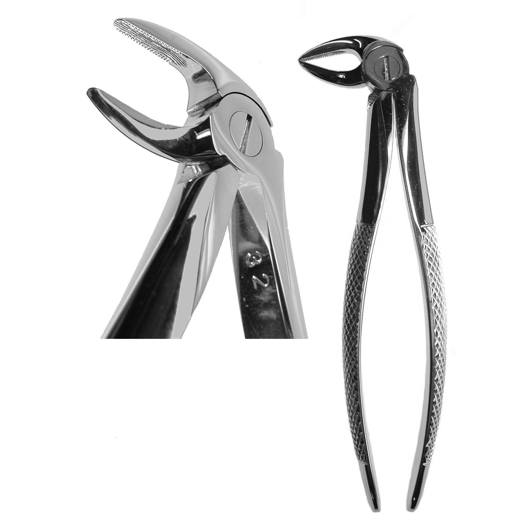 #33A English Forceps  (Z-1030)