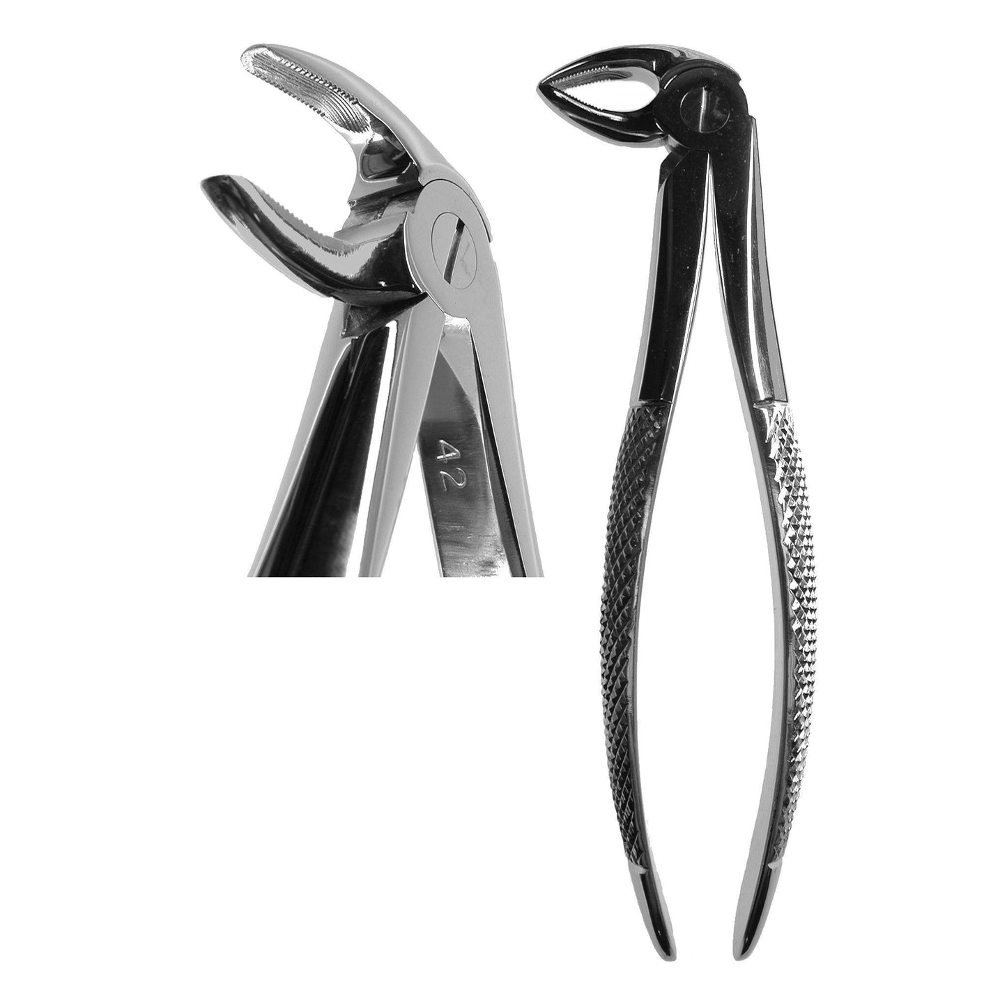 #33 English Forceps  (Z-1029)