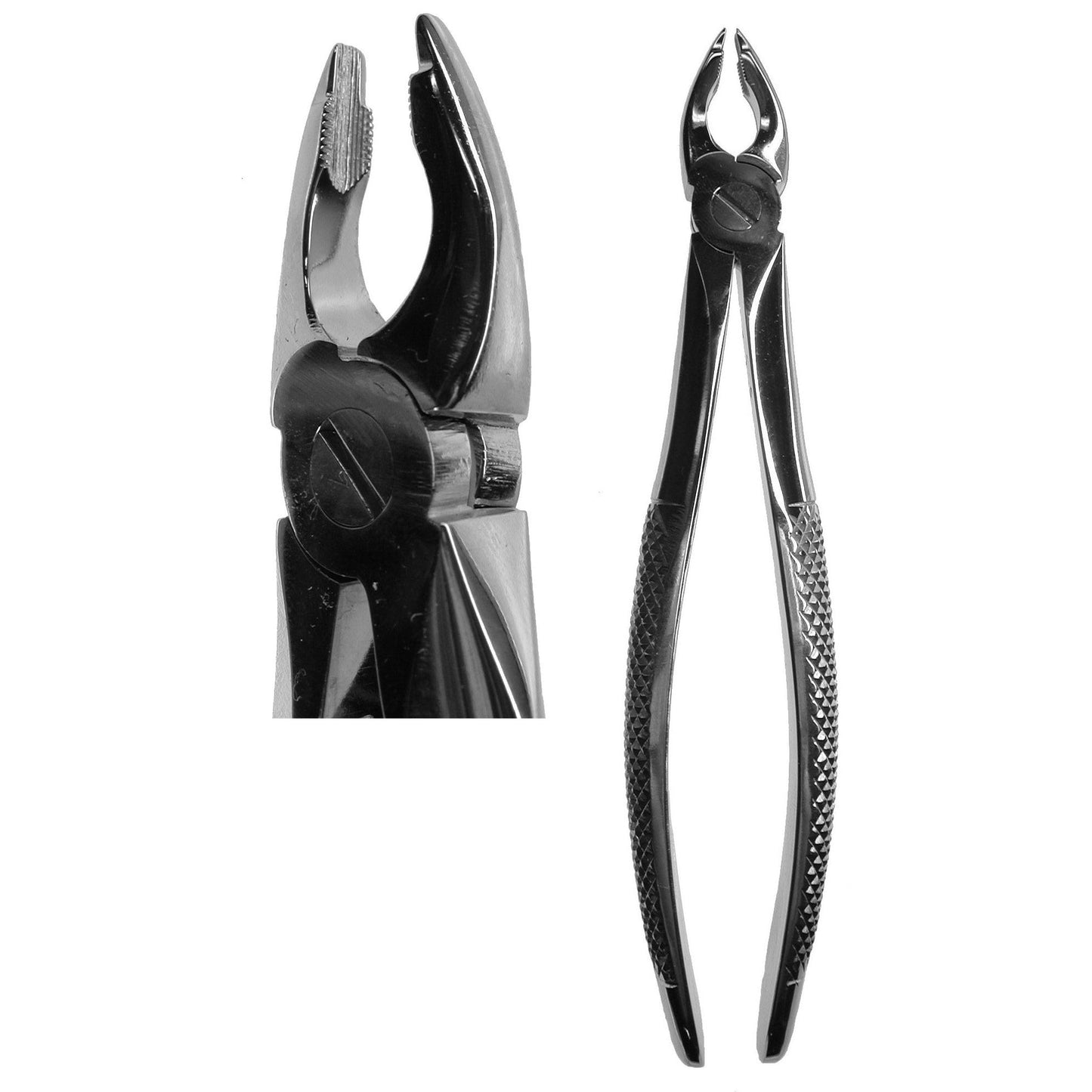 #34 English Forceps  (Z-1033)