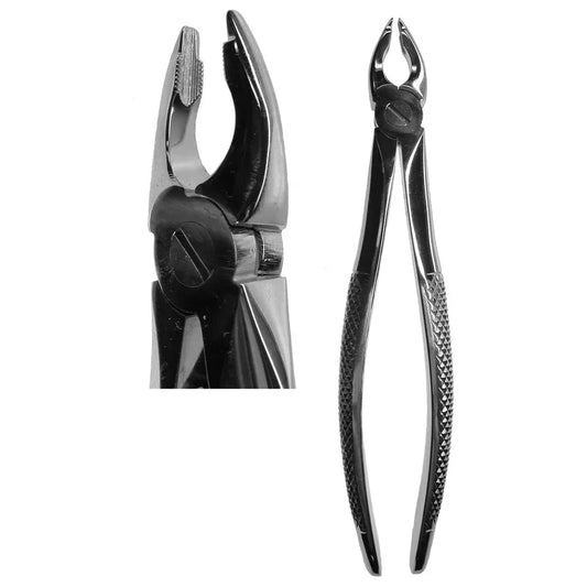 #34 English Forceps (Z-1033), Z-1368