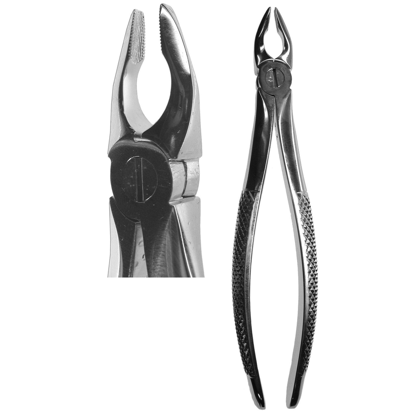 #34N English Forceps  (Z-1035)