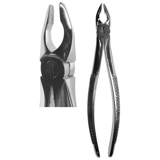 #34N English Forceps (Z-1035)