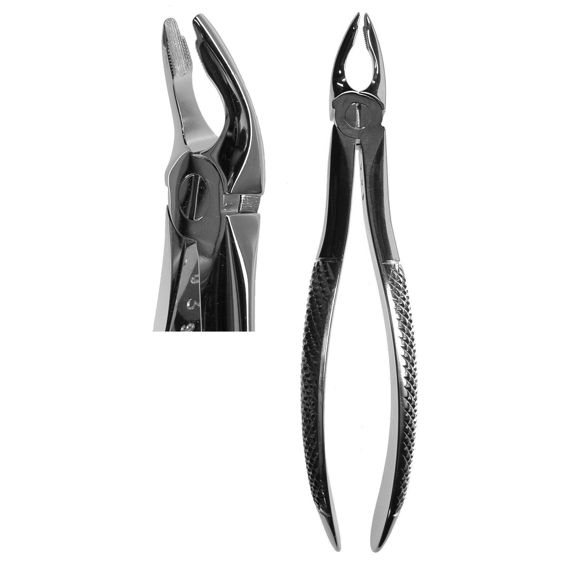 #35 English Forceps  (Z-1036)