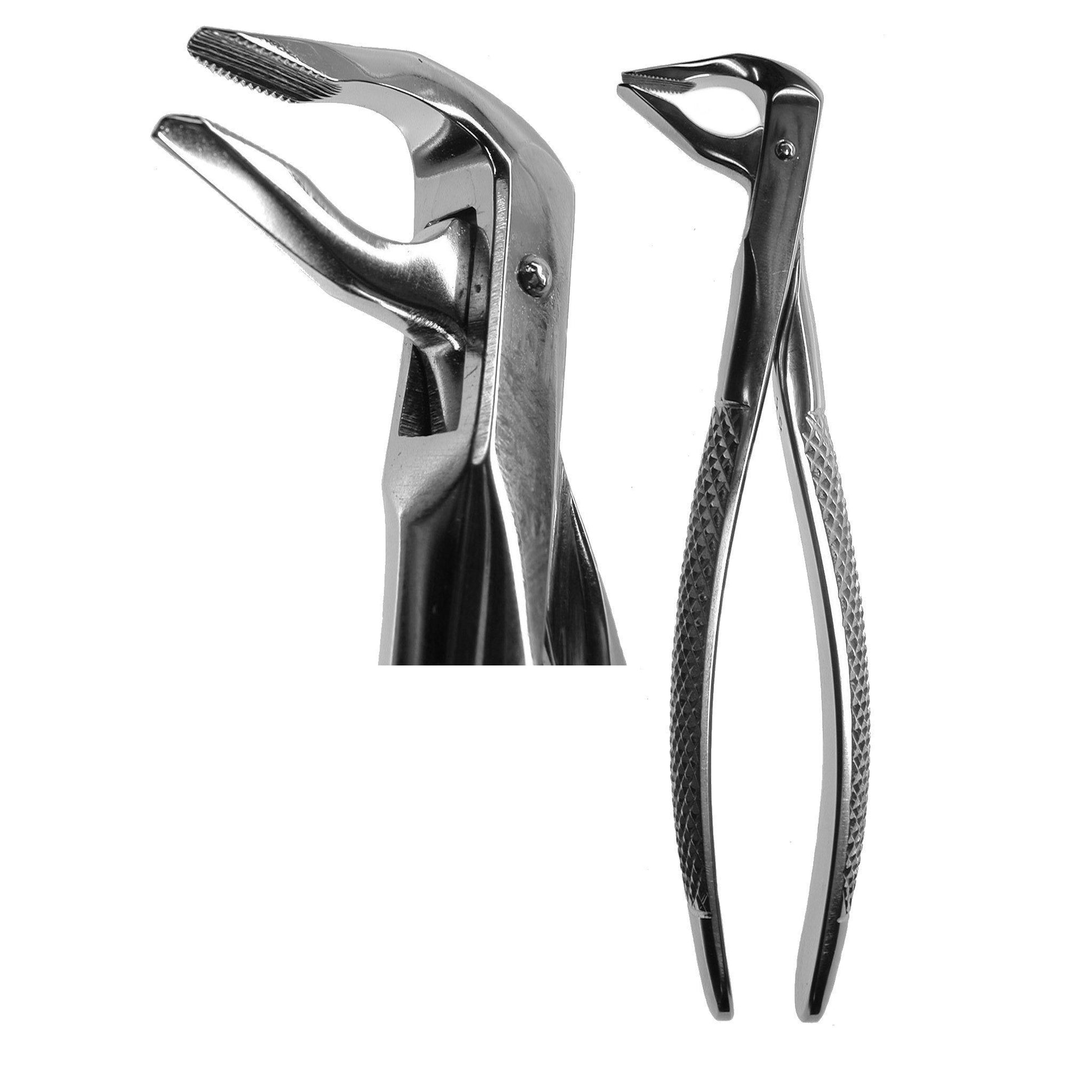 #36N English Forceps  (Z-1041)