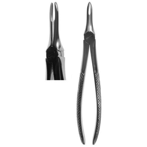 #41 Root Forceps (Z-1048)