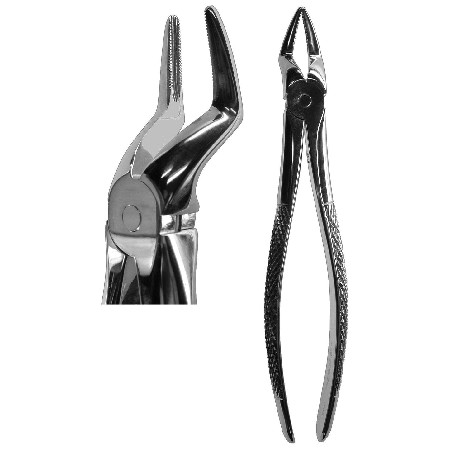 #51A Root Forceps  (Z-1055)