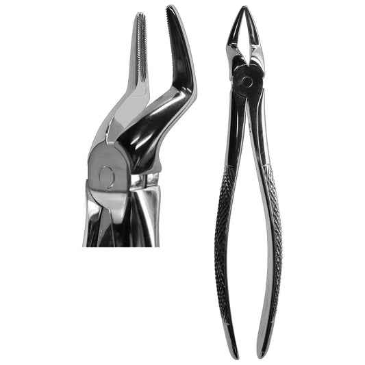 #51A Root Forceps (Z-1055)